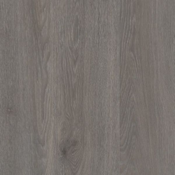 Silk Oak Dark Grey AVSPT40060