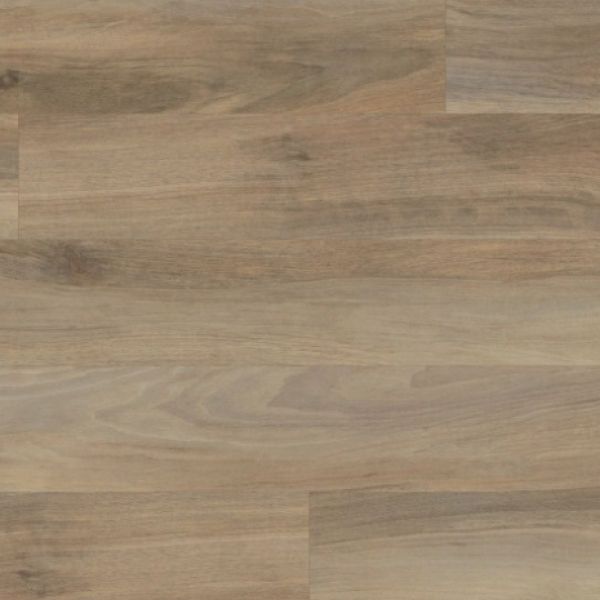 Weathered Elm REN113