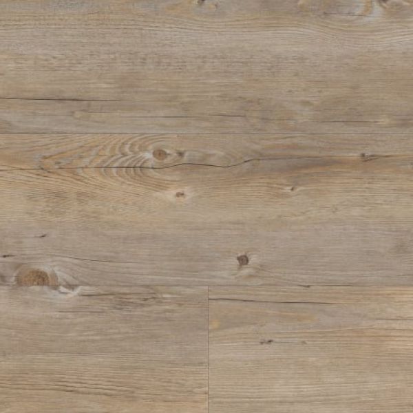 Country Oak VGW81T-SCB