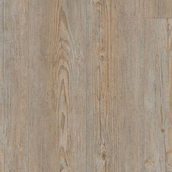 Brushed Pine GREY 24513005