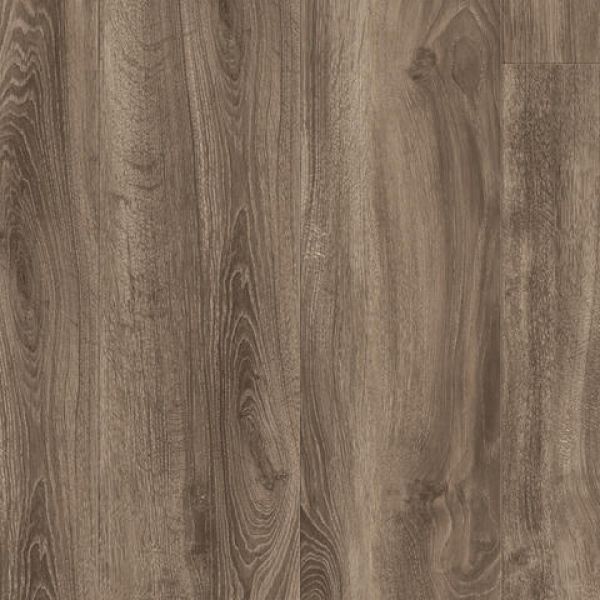 English Oak BROWN 24513009