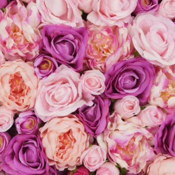 Pink/Deep Pink 50cm x 50cm