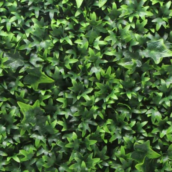 Ivy Green 50cm x 50cm