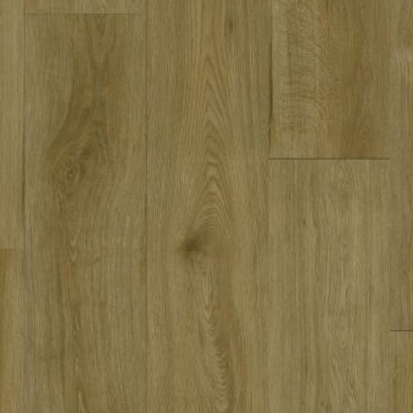 Classical Oak