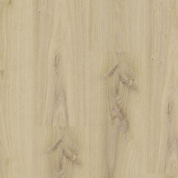 Primary Oak Beige