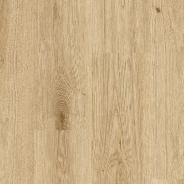 Primary Oak Light Brown