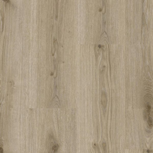 Primary Oak Light Grey