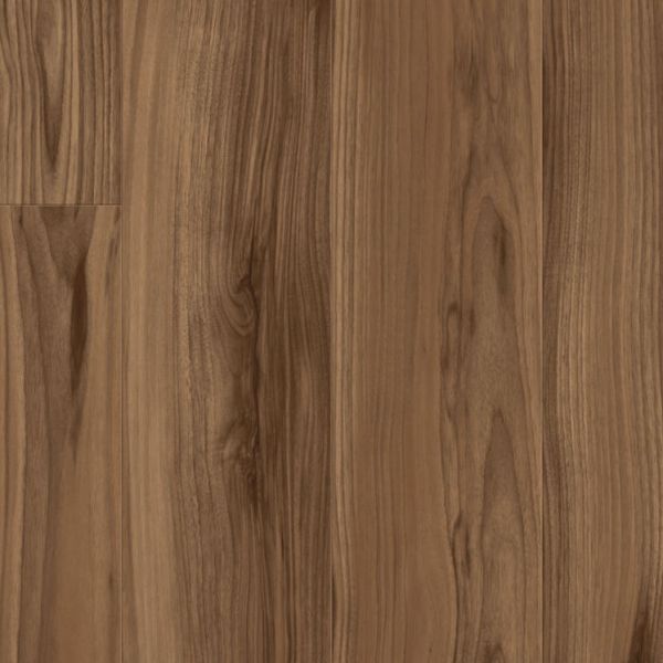 American Walnut MARRON