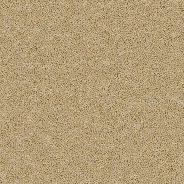 Sand Salt 4103 - Calm & Cosy