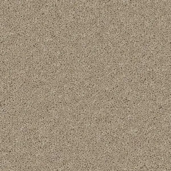 Tranquil Truffle 4101 -Light & Airy