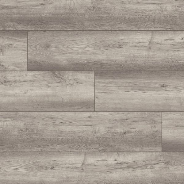 Dartmoor Oak L19-4369