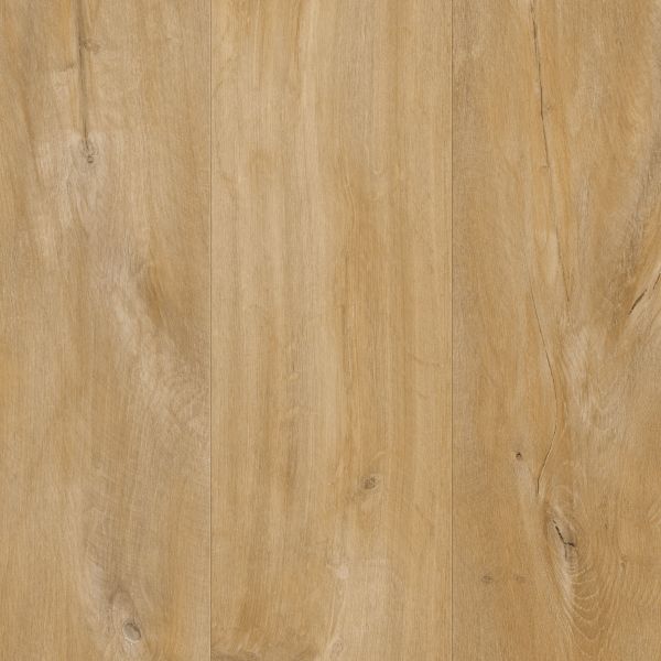 Canyon Oak Natural AVSPT40039