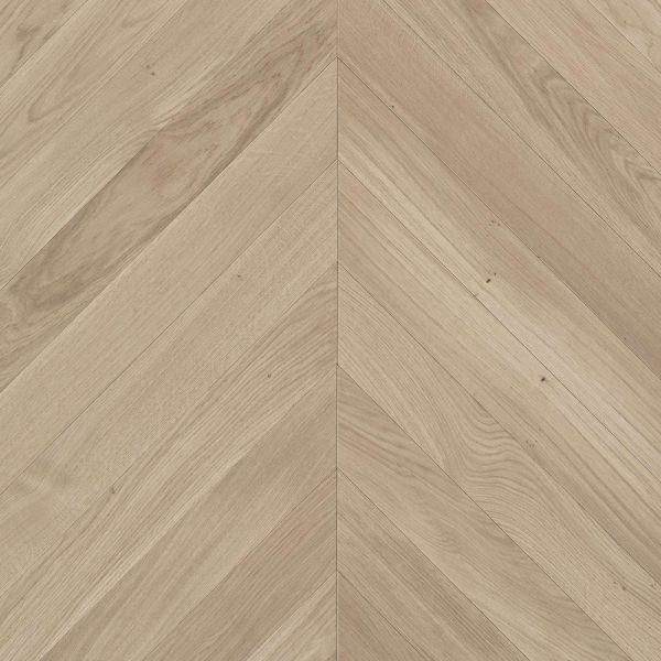 Seashell Chevron CV104 