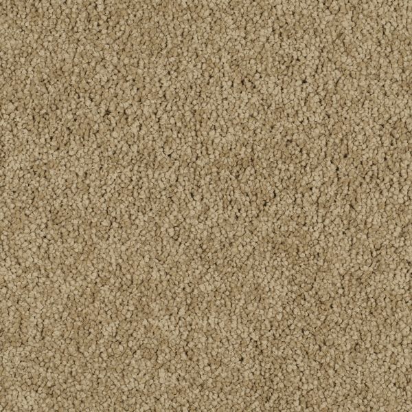 Camel Coat 3271 780 TB