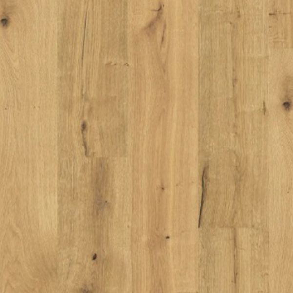 Grand Canyon Cla 200