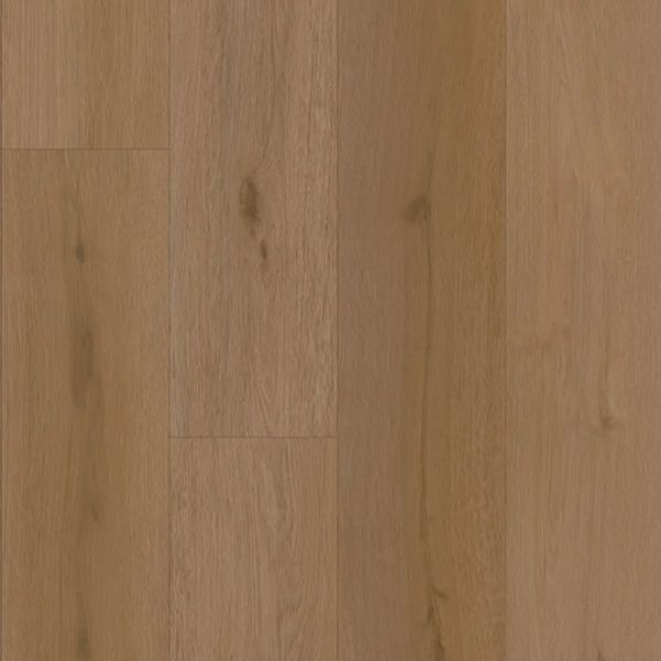 Intention Clw 241 Plank