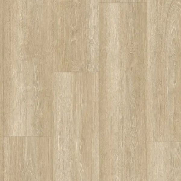 Dennison Oak 22455