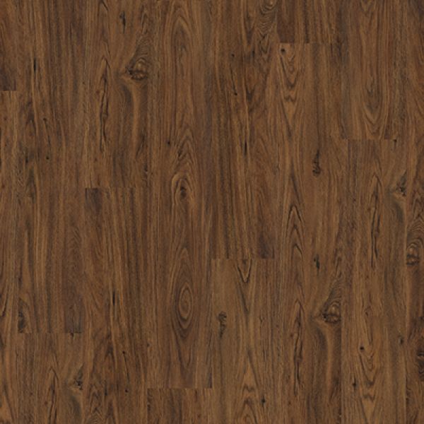 Walnut 5179