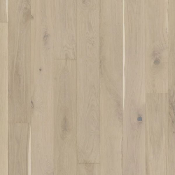 Oak Ghost