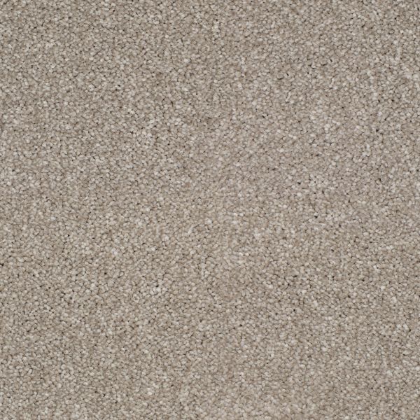 Soft Taupe 865