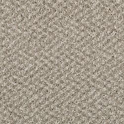 Sunlit Sand 215 NI07