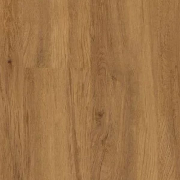 Christchurch Oak 3481