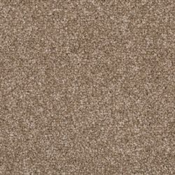 Salted Beige 3273 PND11