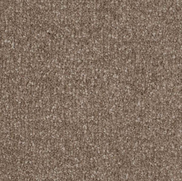 Beige Intenso 3267 316