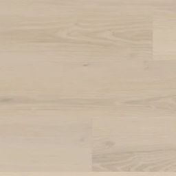 Norfolk Acacia KP159