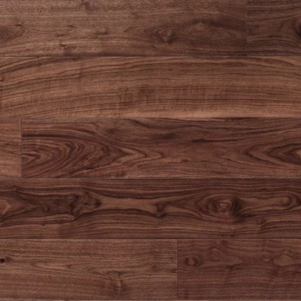 American Black Walnut DC205
