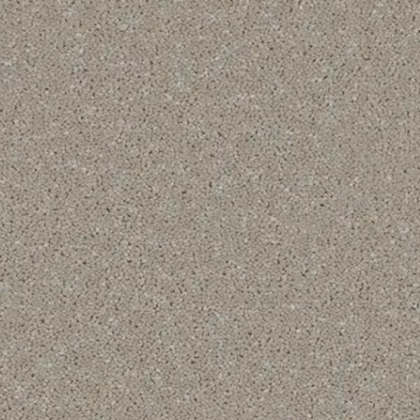 Taupe 1559