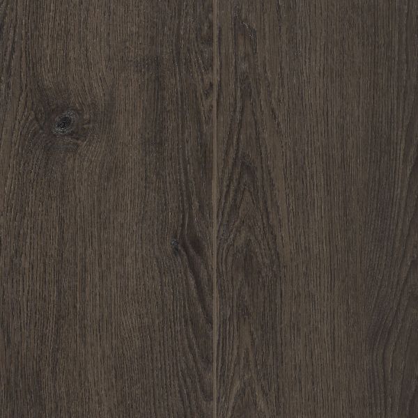 Munster Oak LVRE2388