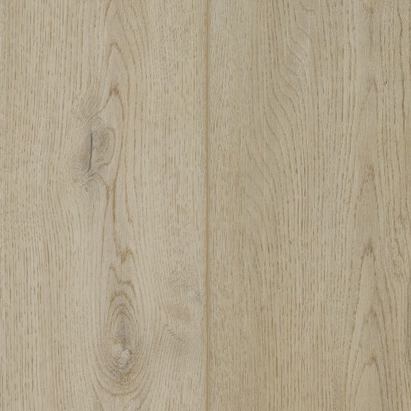 Cleveland Oak lvre1452  