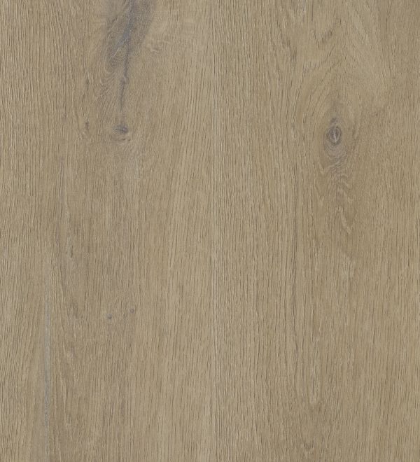 Texas Oak H54  lvrh2454  