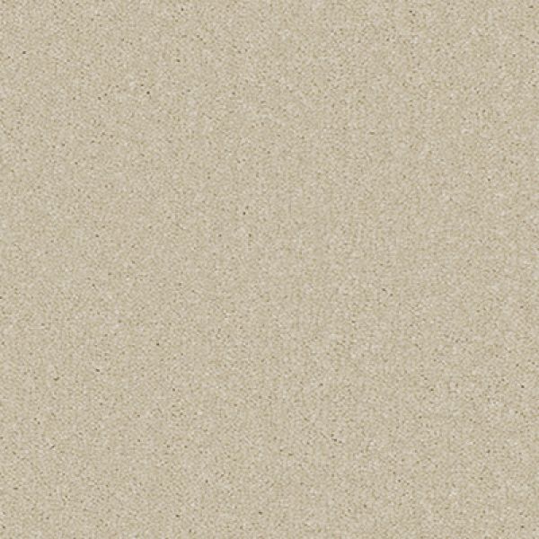 Seashore 244