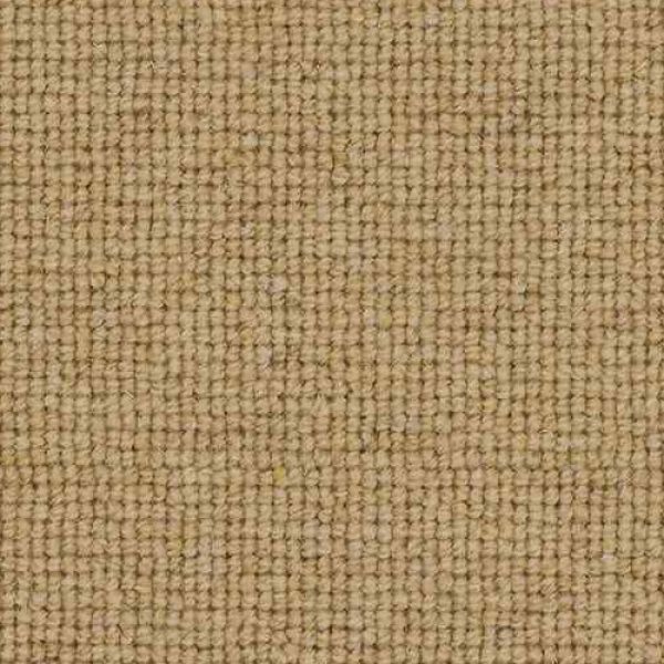 Chickpea TCC17 