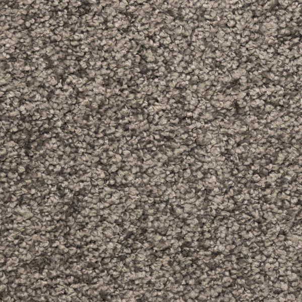 Dark Beige 1040