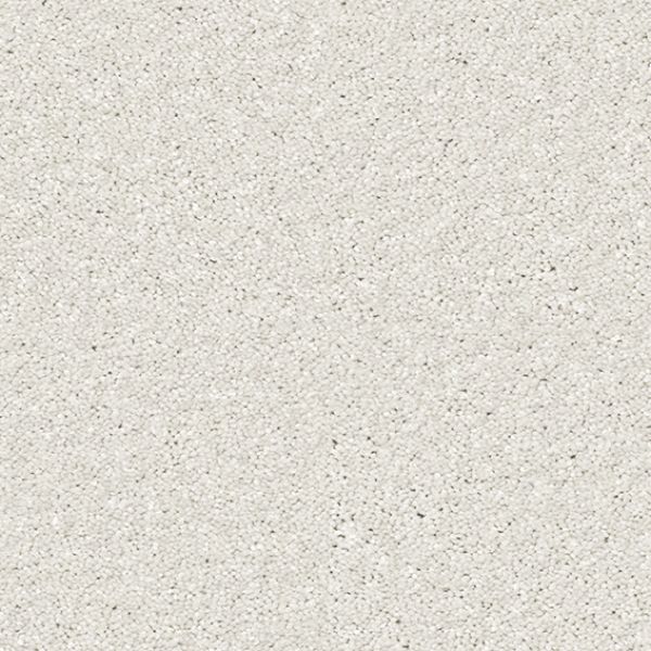 Polar 444
