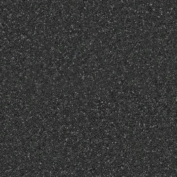 Coal 804