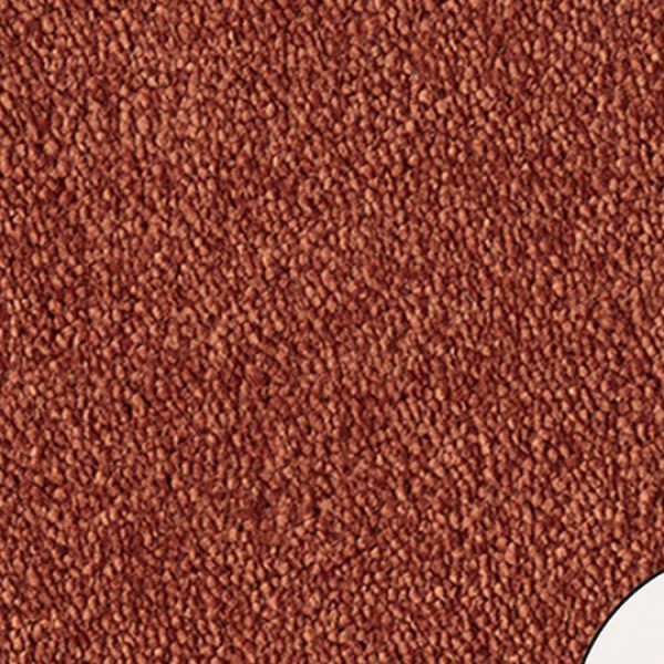 Rust 150248