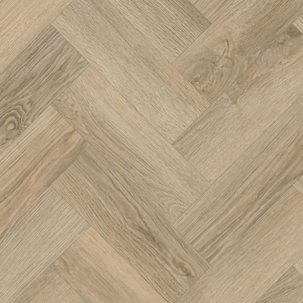 Bare Oak 2010