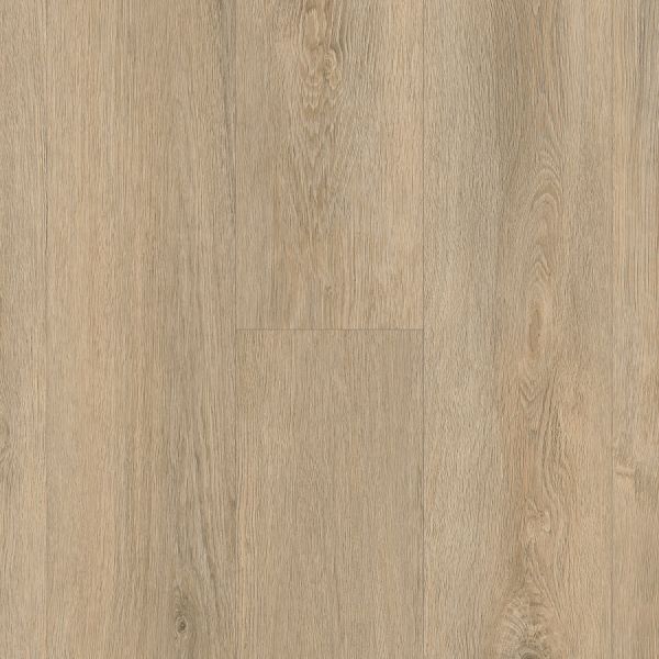 Bare Oak 1010
