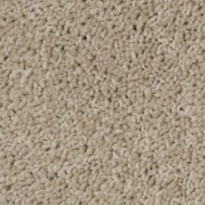 Pale Stone 05