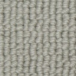 Splendour Chamomile 2707