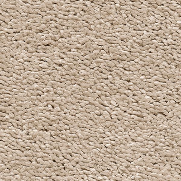 Biscuit Crumbs 35