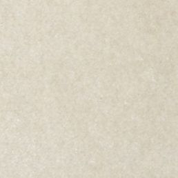Warm Stone 8902