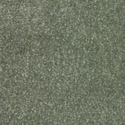 Fairway 8311