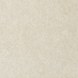 Warm Stone 8302