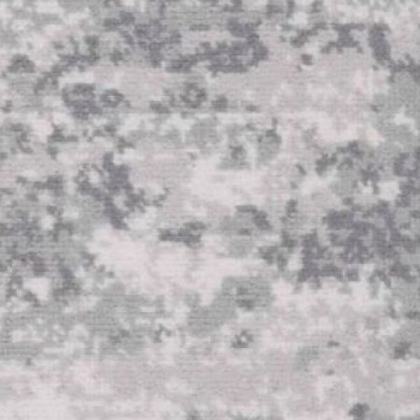 Fossil Hunting Pebble 1220-26202