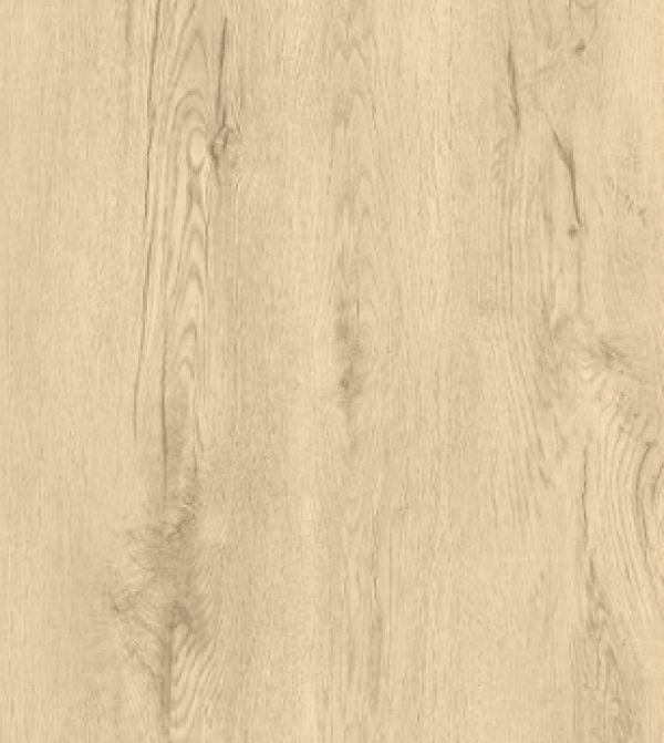 Champagne Oak 
